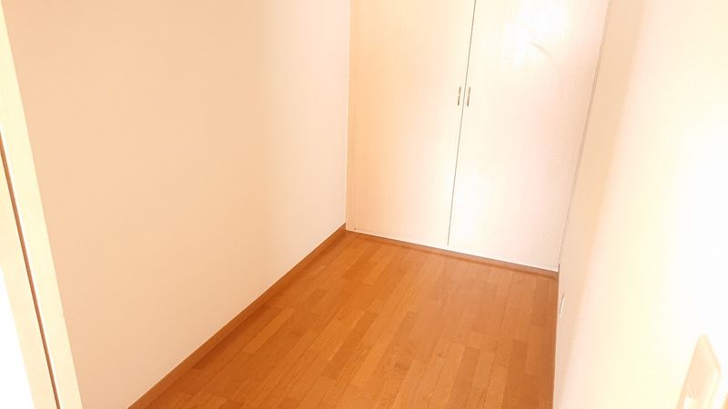 レオパレスラウムふじみ野 その他