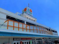 レオネクストライト 周辺環境