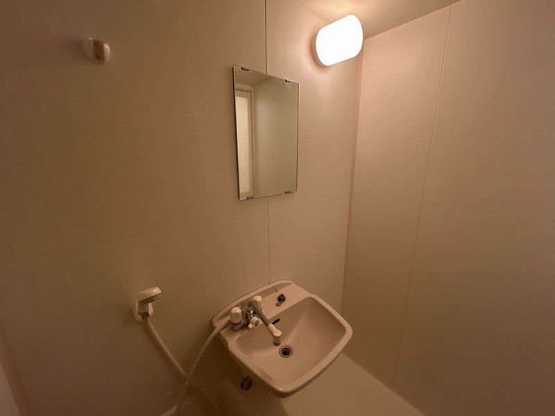 leopalace Plum II Sink