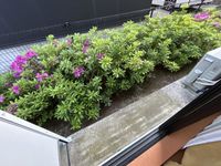 レオパレス原 バルコニー