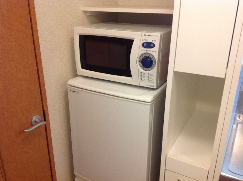 レオパレス大樹 その他
