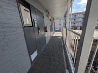 leopalace Rio Grande 其他