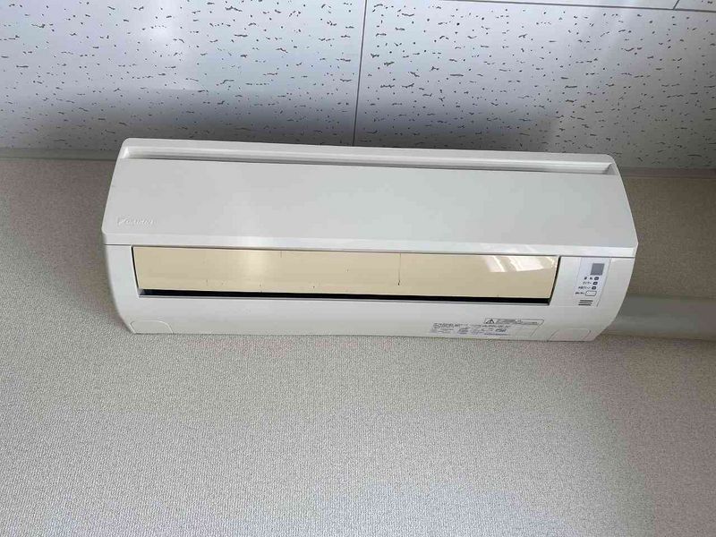 LEONEXT Arao Thiết bị khác