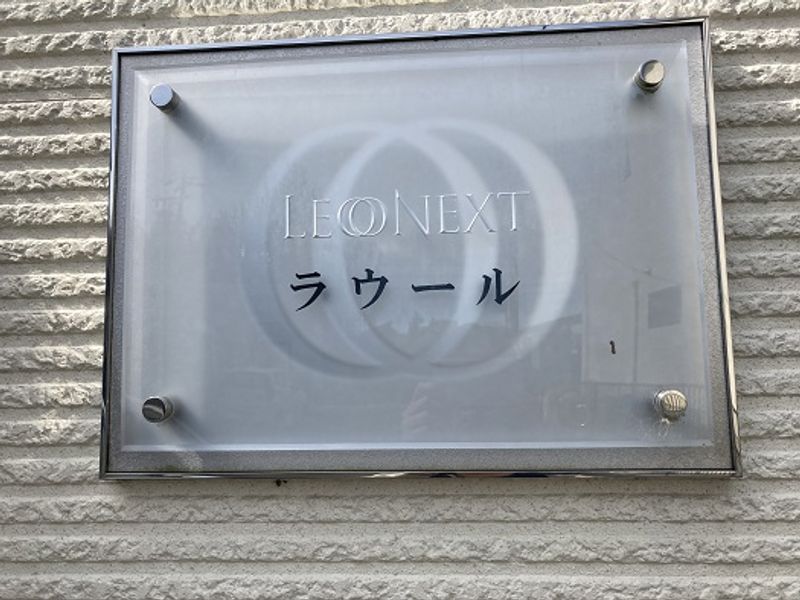 レオネクストラウール その他