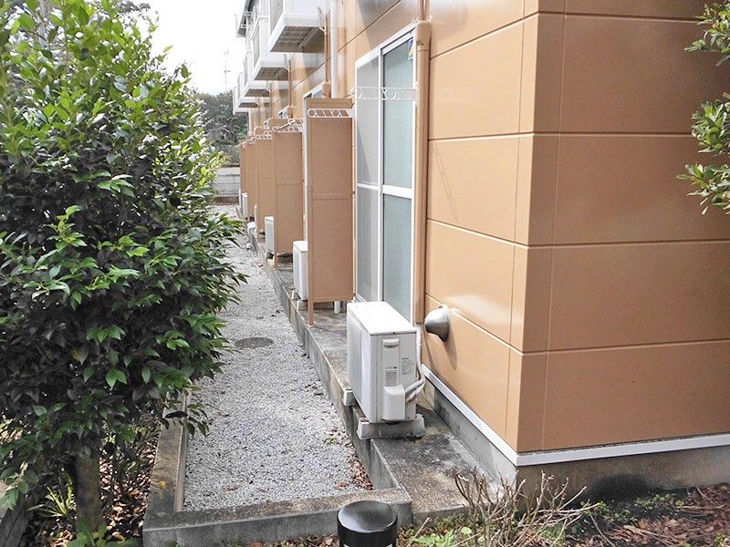 leopalace Sachi Other