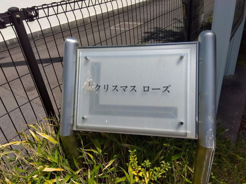 レオパレスクリスマスローズ その他