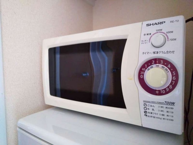 レオパレスカーニバルⅡ その他