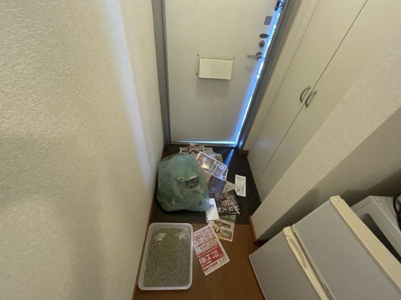 レオパレスブルーカナリア その他