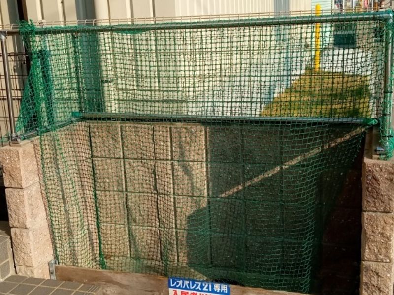 レオネクスト金楽寺 共用部分