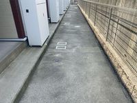 レオネクスト白仙 その他