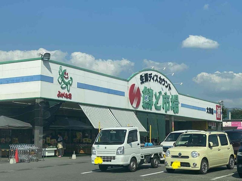 レオパレスドナルド 周辺環境