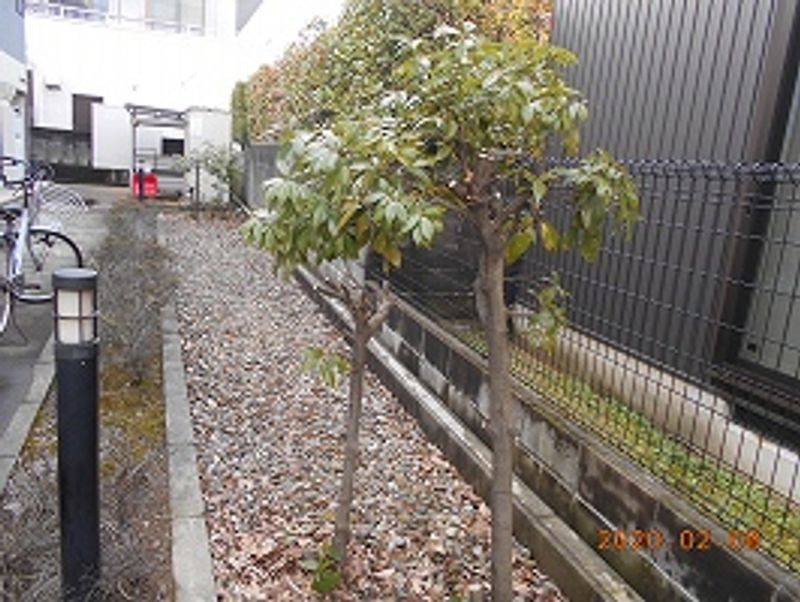 レオパレス重藤 庭