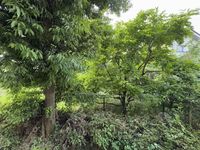 レオパレス隼Ⅱ 眺望