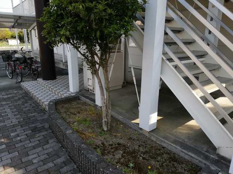 レオパレス長門石 その他