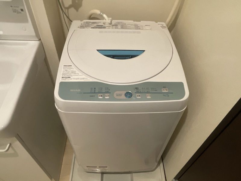 LEONEXT Kuminoki 기타