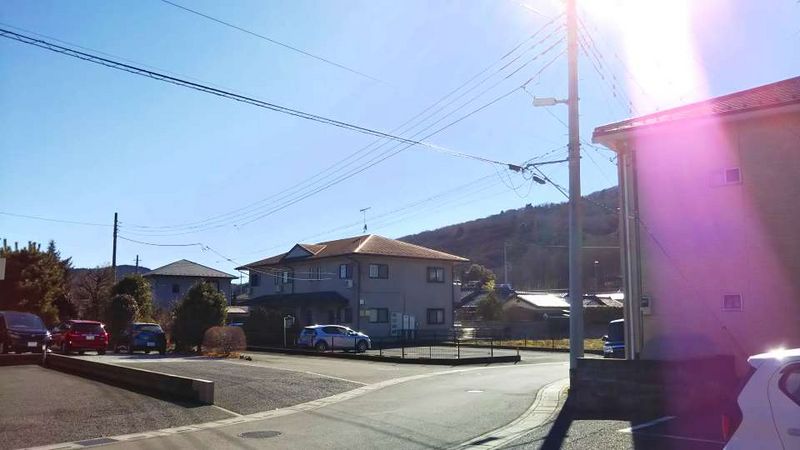 leopalace Emu Field II View