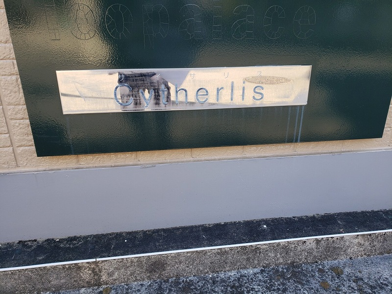 レオパレスＣｙｔｈｅｒｌｉｓ 共用部分