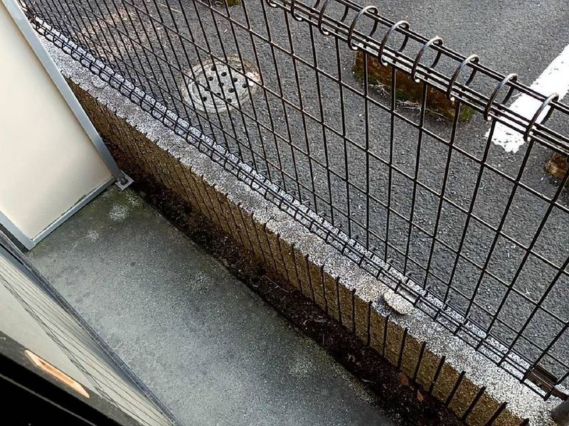 leopalace Wako 阳台