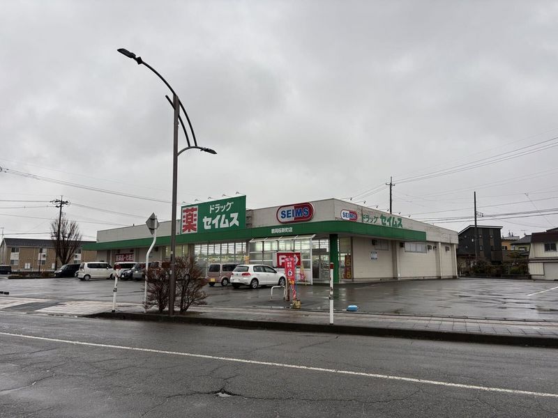 LEONEXT Musk Rose Surrounding area