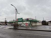 LEONEXT Musk Rose Surrounding area