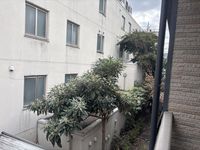 レオネクスト中之郷 眺望