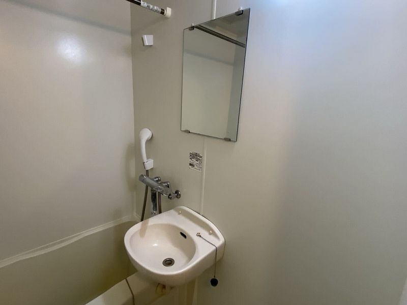 leopalace Les Raisins Sink