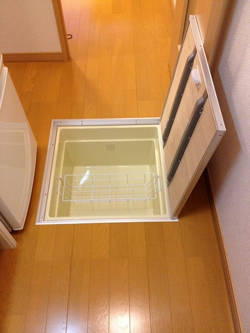 レオネクストパウダウスー 収納