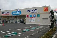 レオネクストｗｅｓｔｒｏａｄ 周辺環境