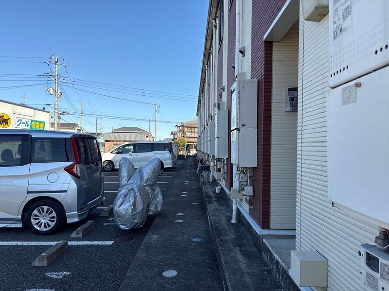 LEONEXT Gemare Oami Other