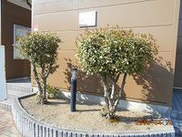 レオパレスジュネス灯明寺 その他