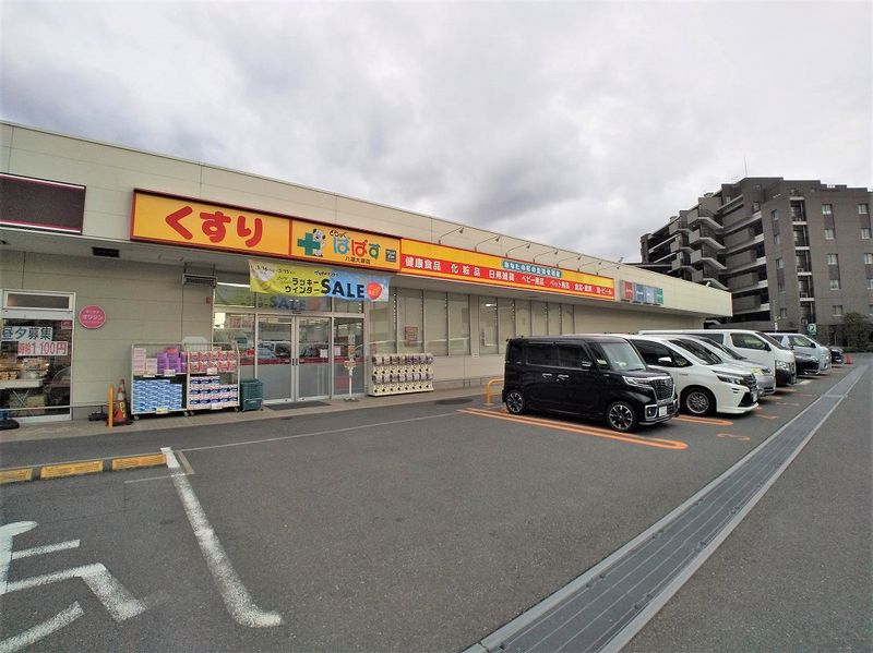 レオネクストドミールＣ 周辺環境