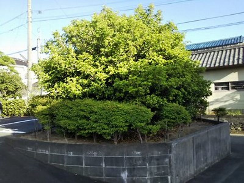 レオパレスＭＫ−Ⅰ その他