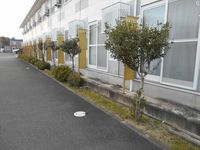 レオパレスＳｅｃｏｎｄ 庭