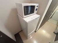 レオネクスト向光白 その他設備