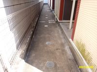 レオネクスト那古野 玄関