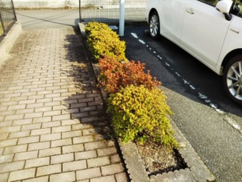 レオパレスらいはる その他