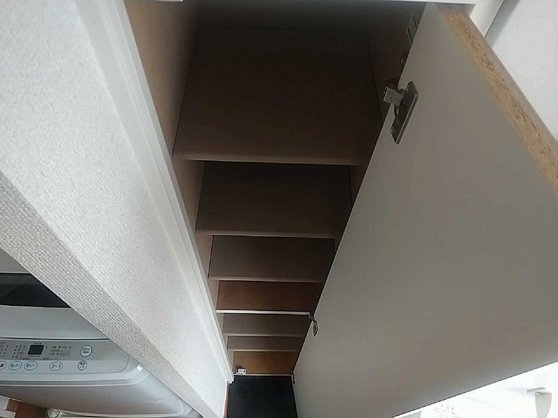 leopalace Pinus 기타