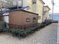 LEONEXT Leone 视野