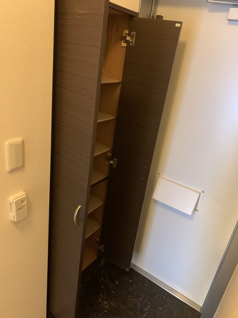 レオネクスト玉水 玄関