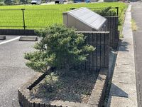 レオパレス忍 庭