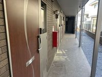 ミランダアレグリア その他