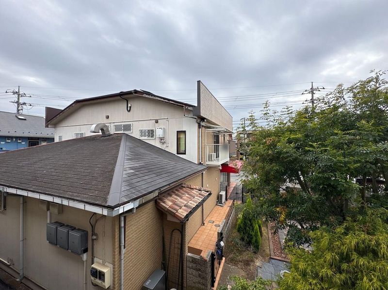 leopalace Fried 전망