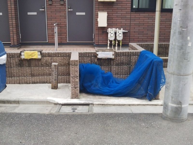 レオネクストグランマイリヤ 共用部分