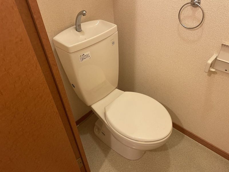 leopalace Final Iris Toilet