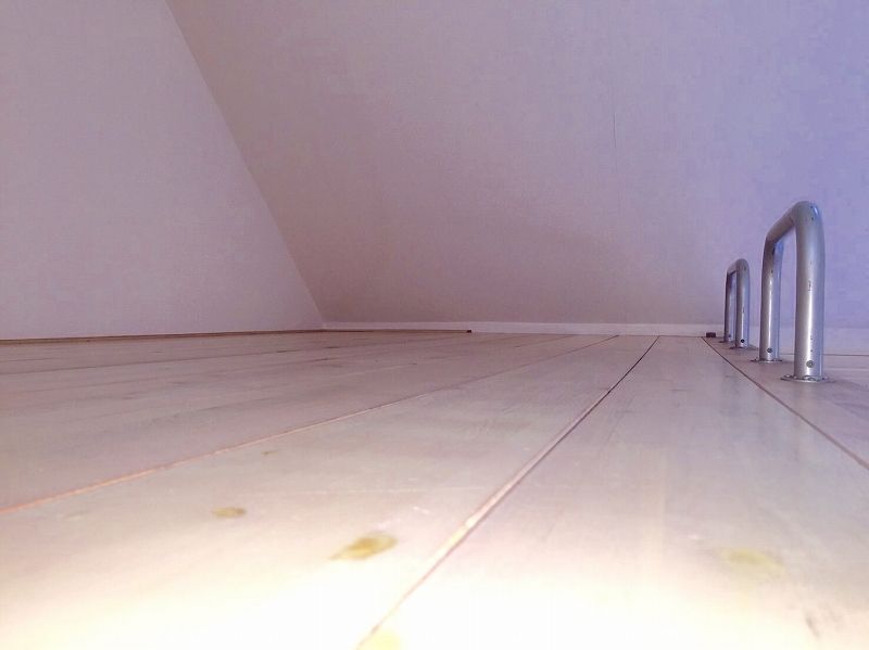 leopalace Zasshonokuma 3 Other