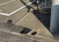 レオパレスカーサ　はなみずき 共用部分