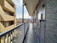 leopalace Sazanka 기타