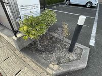 レオパレス三四郎 庭