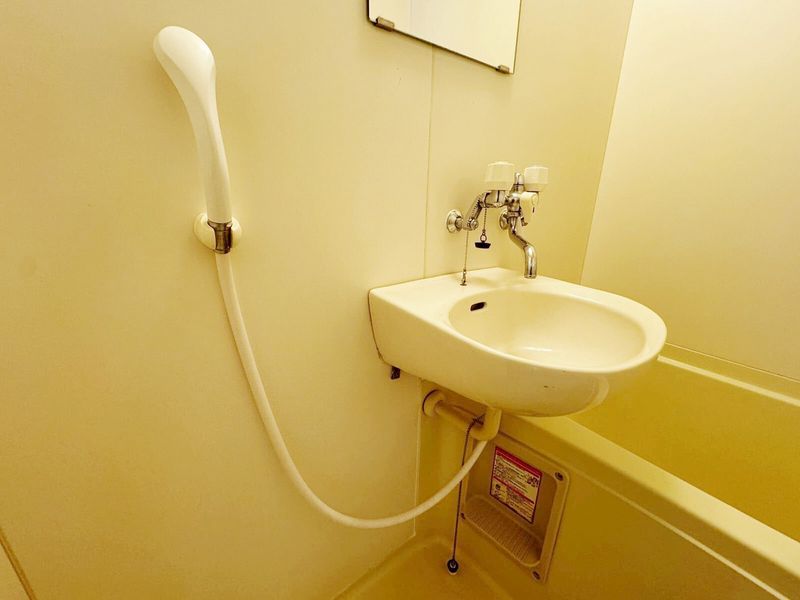 leopalace Rainbow Sink