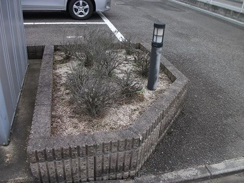 レオパレスエルドラド 庭